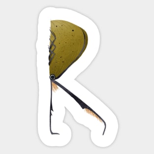 R Sticker